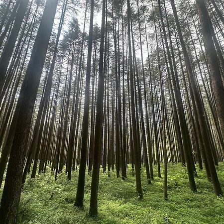 Deodar Village Homestay Devalsari Mussoorie Buitenkant foto