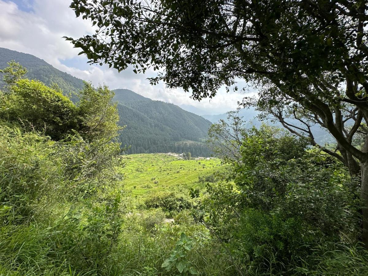 Deodar Village Homestay Devalsari Mussoorie Buitenkant foto