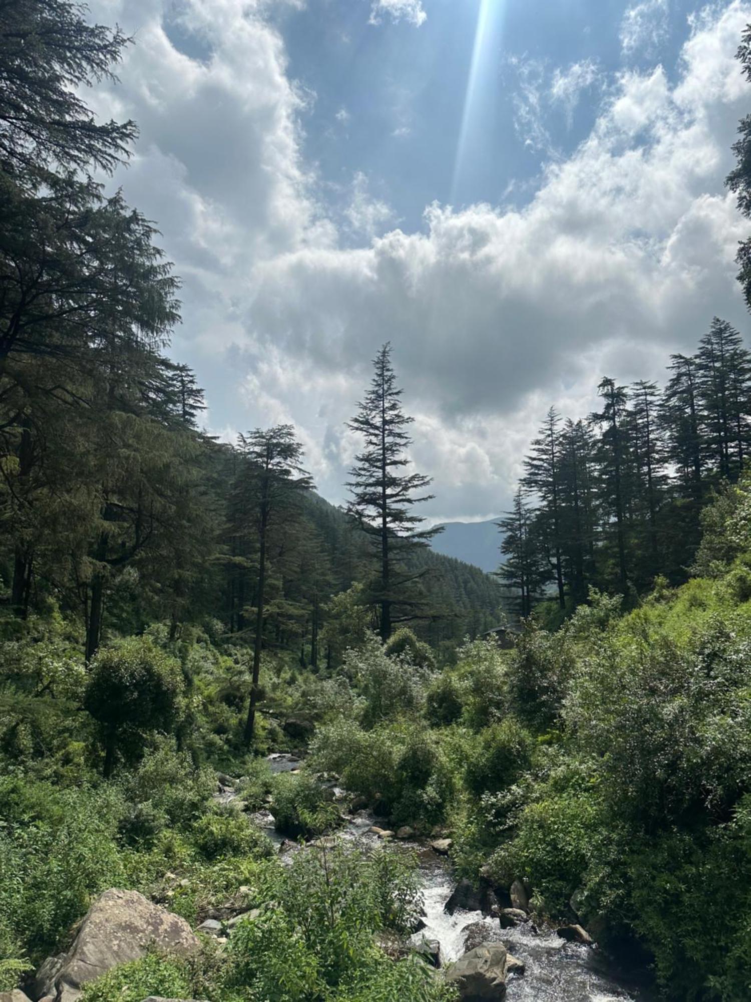 Deodar Village Homestay Devalsari Mussoorie Buitenkant foto