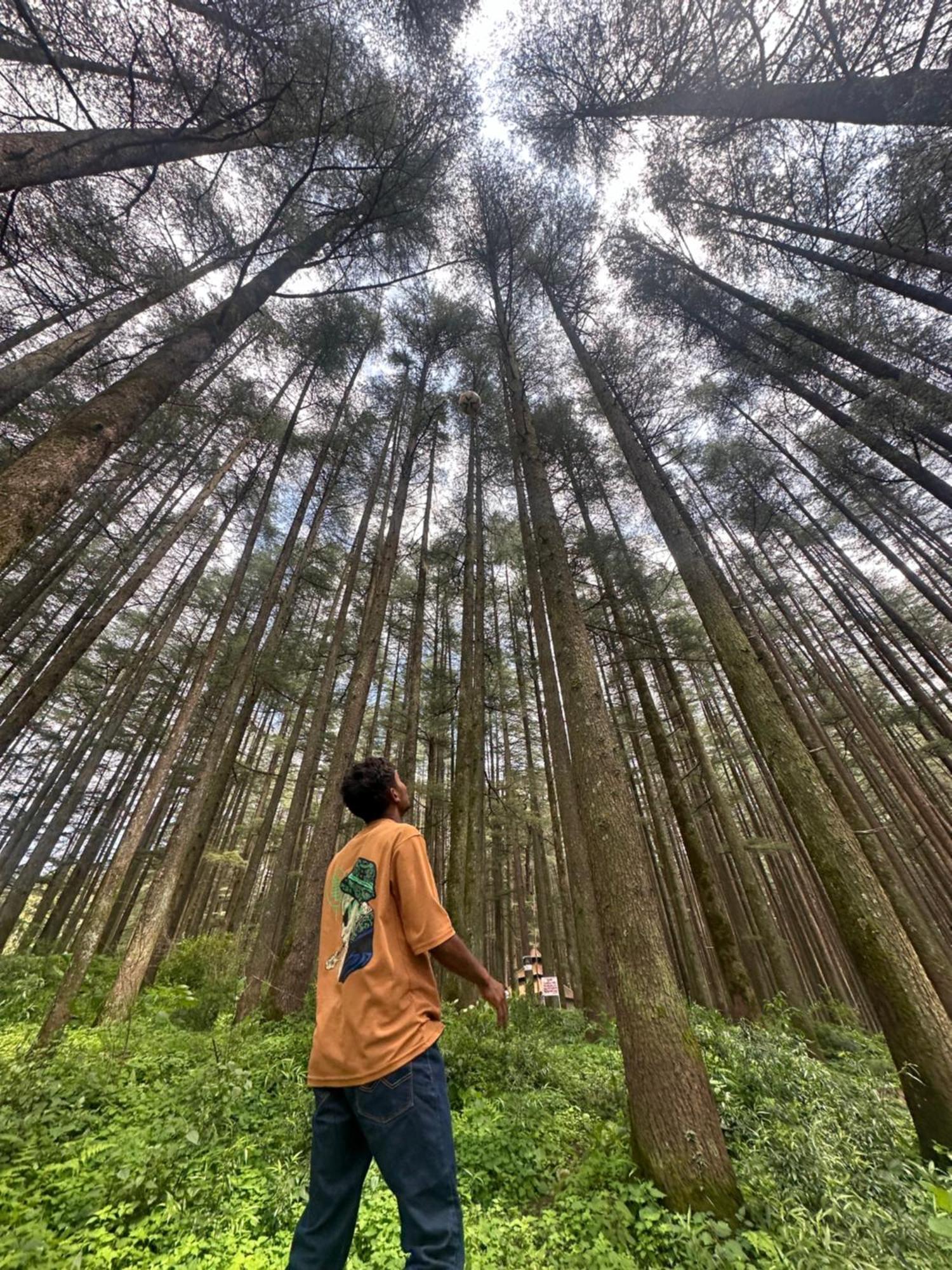 Deodar Village Homestay Devalsari Mussoorie Buitenkant foto