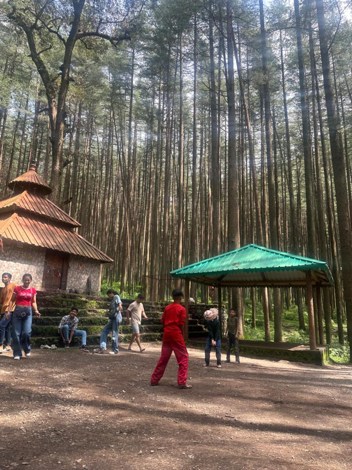 Deodar Village Homestay Devalsari Mussoorie Buitenkant foto