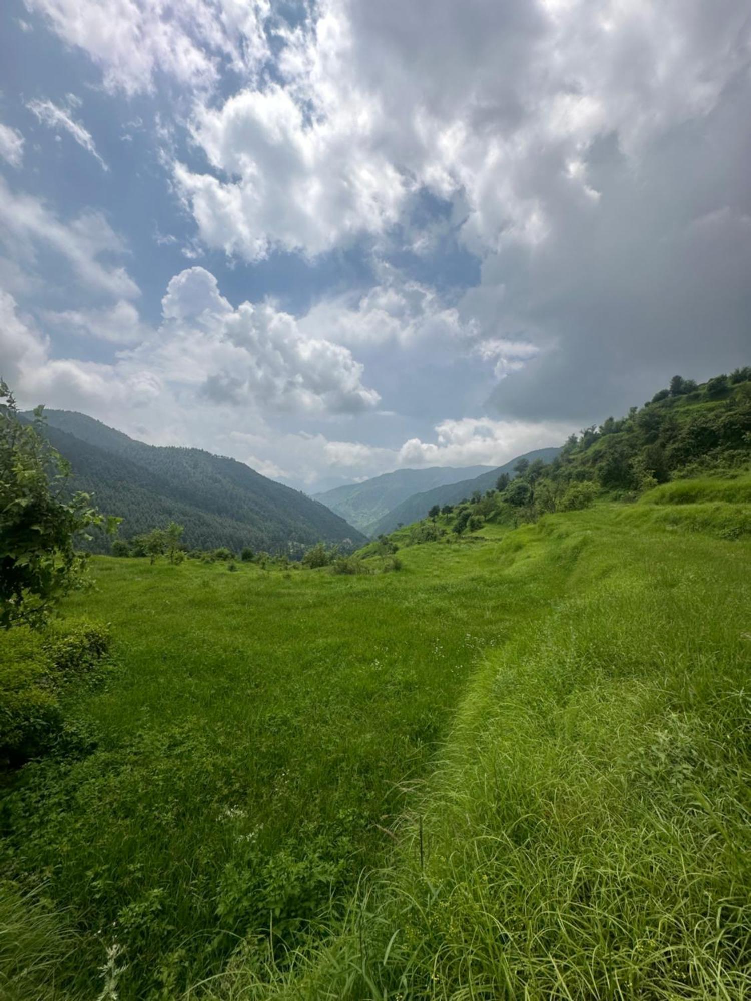 Deodar Village Homestay Devalsari Mussoorie Buitenkant foto